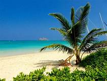 Search4cheapfl1's tweet photo. Book flight tickets and hotelrooms at the lowest price guaranteed!
#affordabletravel #lastminutetravel #lastminutetraveldeals #bookcheapflights #vacationpackages #weekendflights #vacationmode #staycation #traveldeals #explore #entrepreneur #startup
https://t.co/OWlESYWjNi https://t.co/55H3F6Gjtg