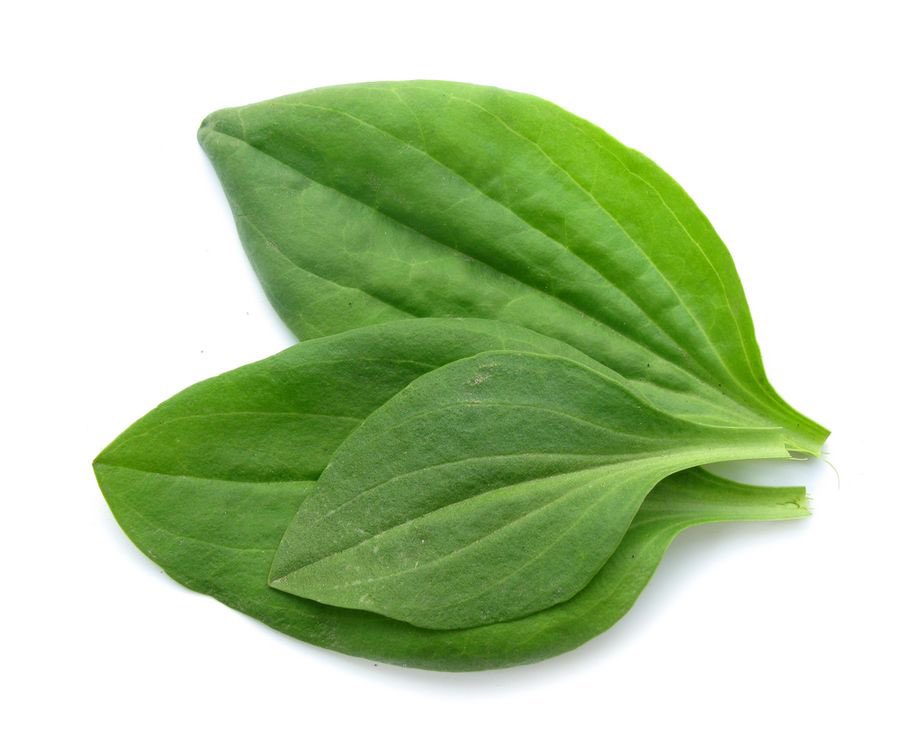 Почта Mail.ru tweet media