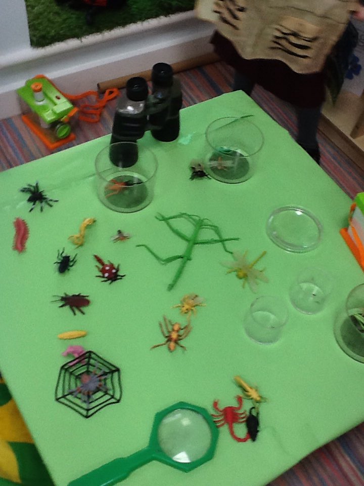 ReceptionClass2's tweet photo. We are amazing bug explorers! https://t.co/OLA492WIrQ