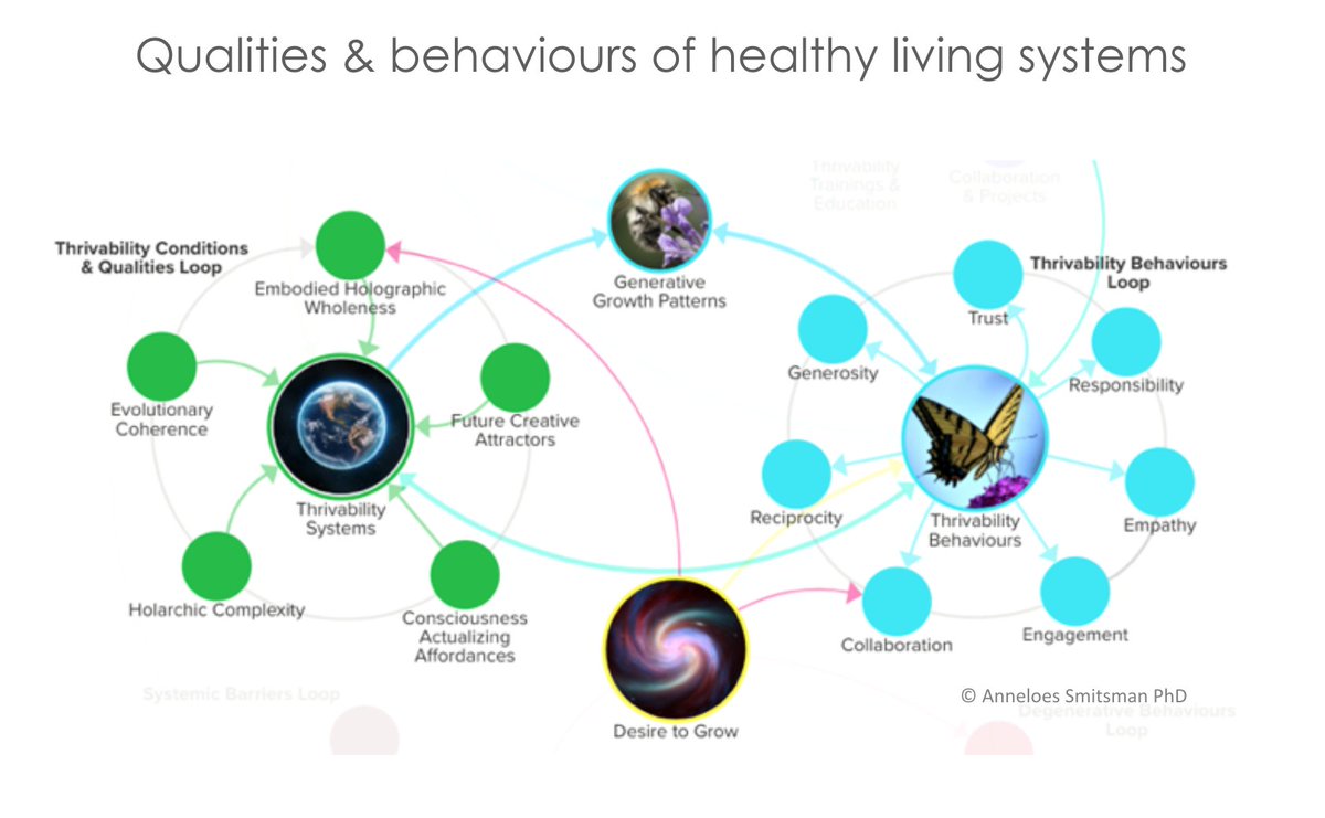 3anneloes's tweet image. There is much we can learn from healthy living systems - thrivability begins there. #thrivability, #livingsystems, #Sustainability