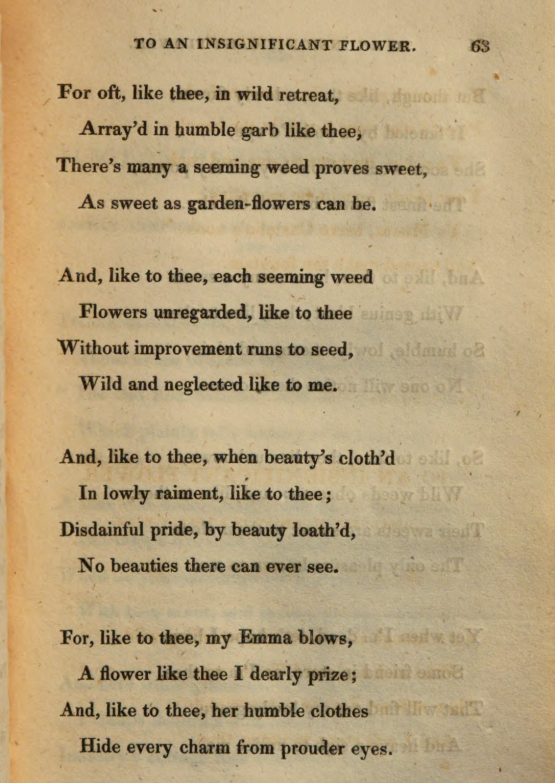 JohnClareSoc's tweet photo. "And though thou seem'st a weedling wild, / Wild and neglected like to me; / Thou still art dear to nature's child, / And I will stoop to notice thee". Today's #PoemsDescriptive2020 is Clare's 'To an Insignificant Flower, Obscurely Blooming in a Lonely Wild' π₯ https://t.co/MokELxJMn3