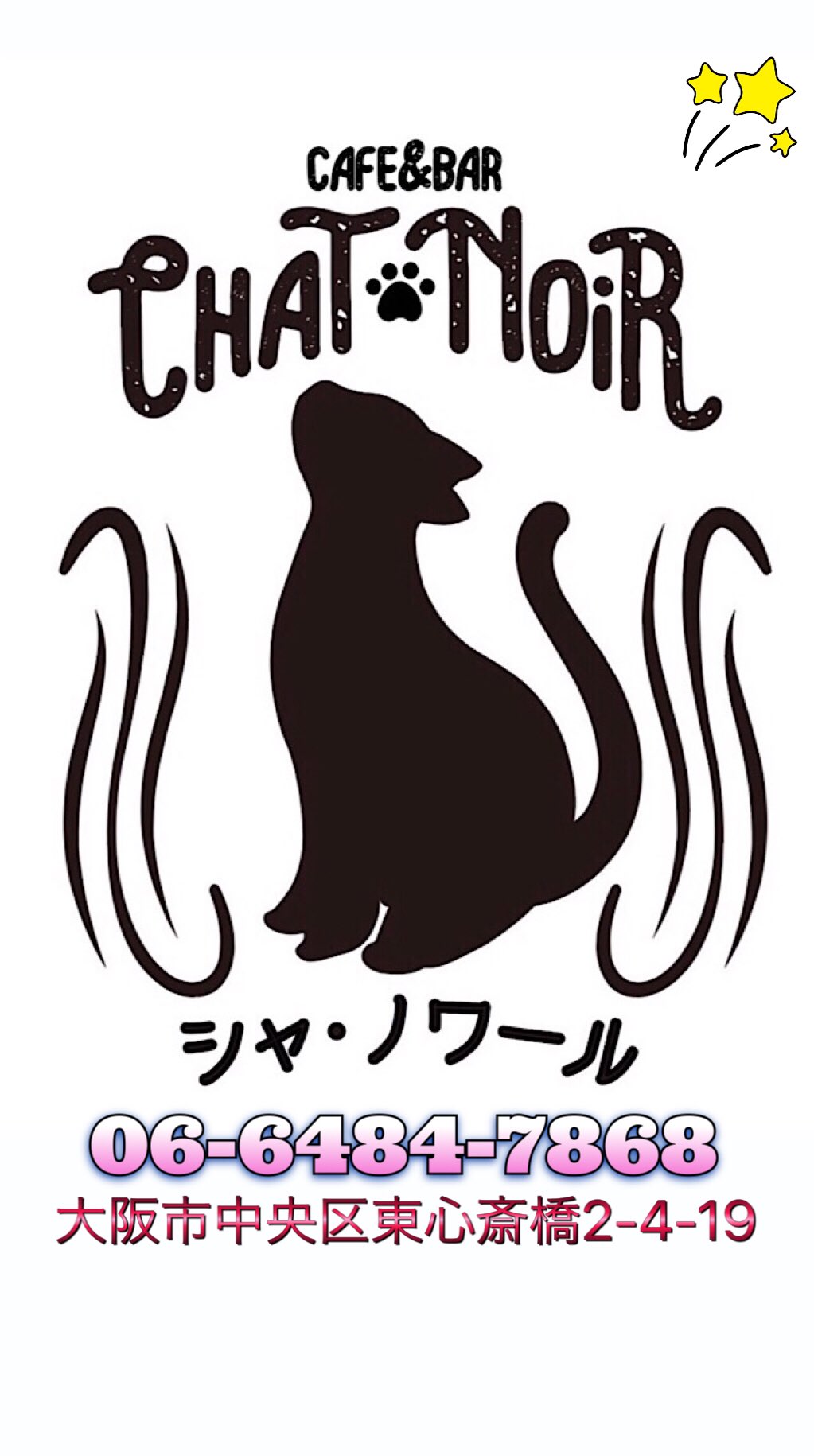 Chat Noir Chatnoi Twitter