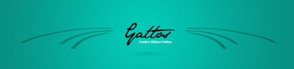 aemve_vet's tweet photo. GATTOS, CENTRO CLÍNICO FELINO https://t.co/Bnui1p3B2V https://t.co/esedKYI6pc