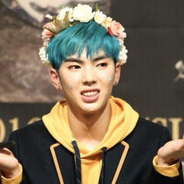 fuck it imfact as cats: a thread #imfact  #jeup  #jian  #leesang  #ungjae  #taeho  @IMFACTofficial  @imfact_twt