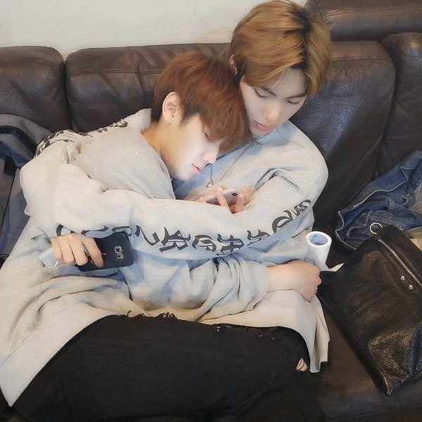 fuck it imfact as cats: a thread #imfact  #jeup  #jian  #leesang  #ungjae  #taeho  @IMFACTofficial  @imfact_twt