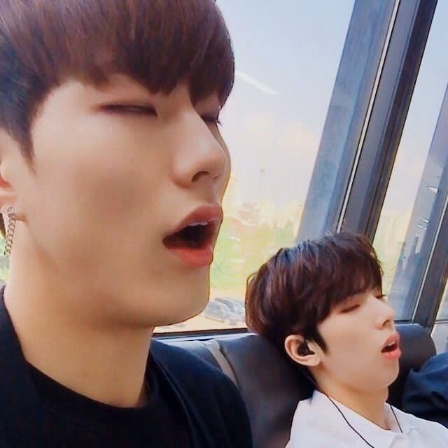 fuck it imfact as cats: a thread #imfact  #jeup  #jian  #leesang  #ungjae  #taeho  @IMFACTofficial  @imfact_twt