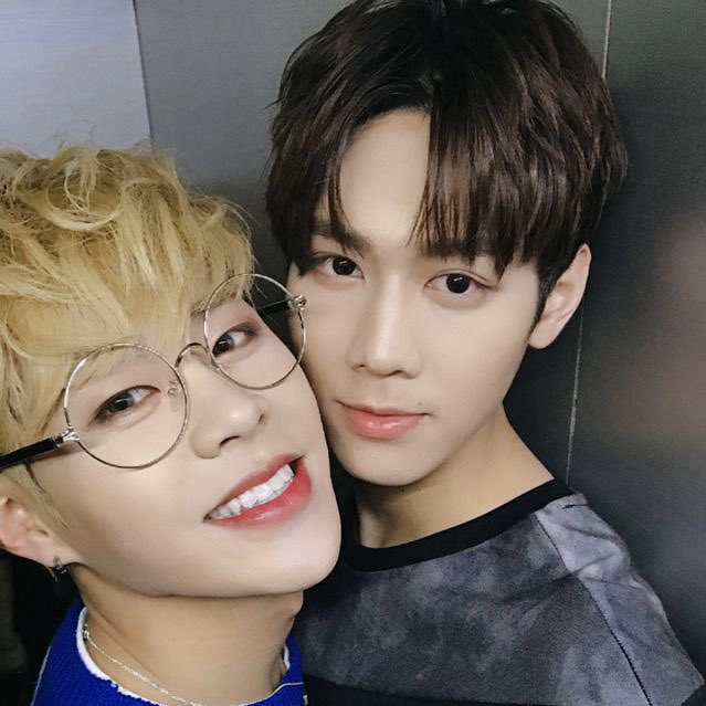 fuck it imfact as cats: a thread #imfact  #jeup  #jian  #leesang  #ungjae  #taeho  @IMFACTofficial  @imfact_twt