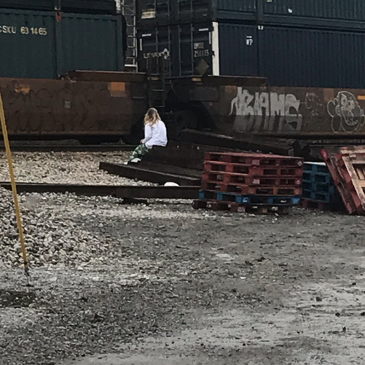 HSHTennessee's tweet photo. She sits in solitude, waiting for the train to pass, so that she can cross the tracks and climb the wooded hillside she calls home...https://t.co/XOQGEgmLMj
#hope2020 #theydomatter #endhomelessness https://t.co/TFG2O3egk7