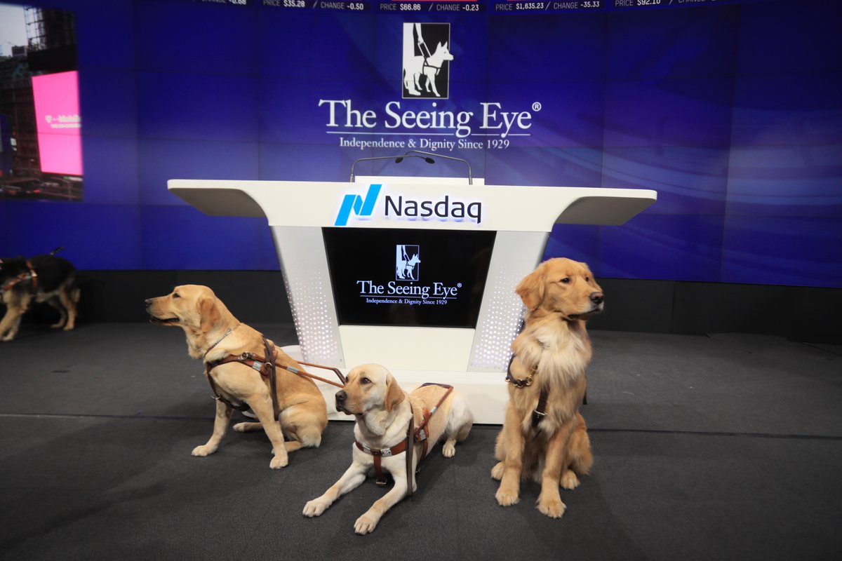We’re excited to ring the closing bell at @Nasdaq today as we wrap up our 90th year of life-changing partnerships between people and Seeing Eye dogs and celebrate the Seeing Eye dog’s new designation as state dog of NJ! #RewriteTomorrow #SeeingEyedog #seeingeye #statedog