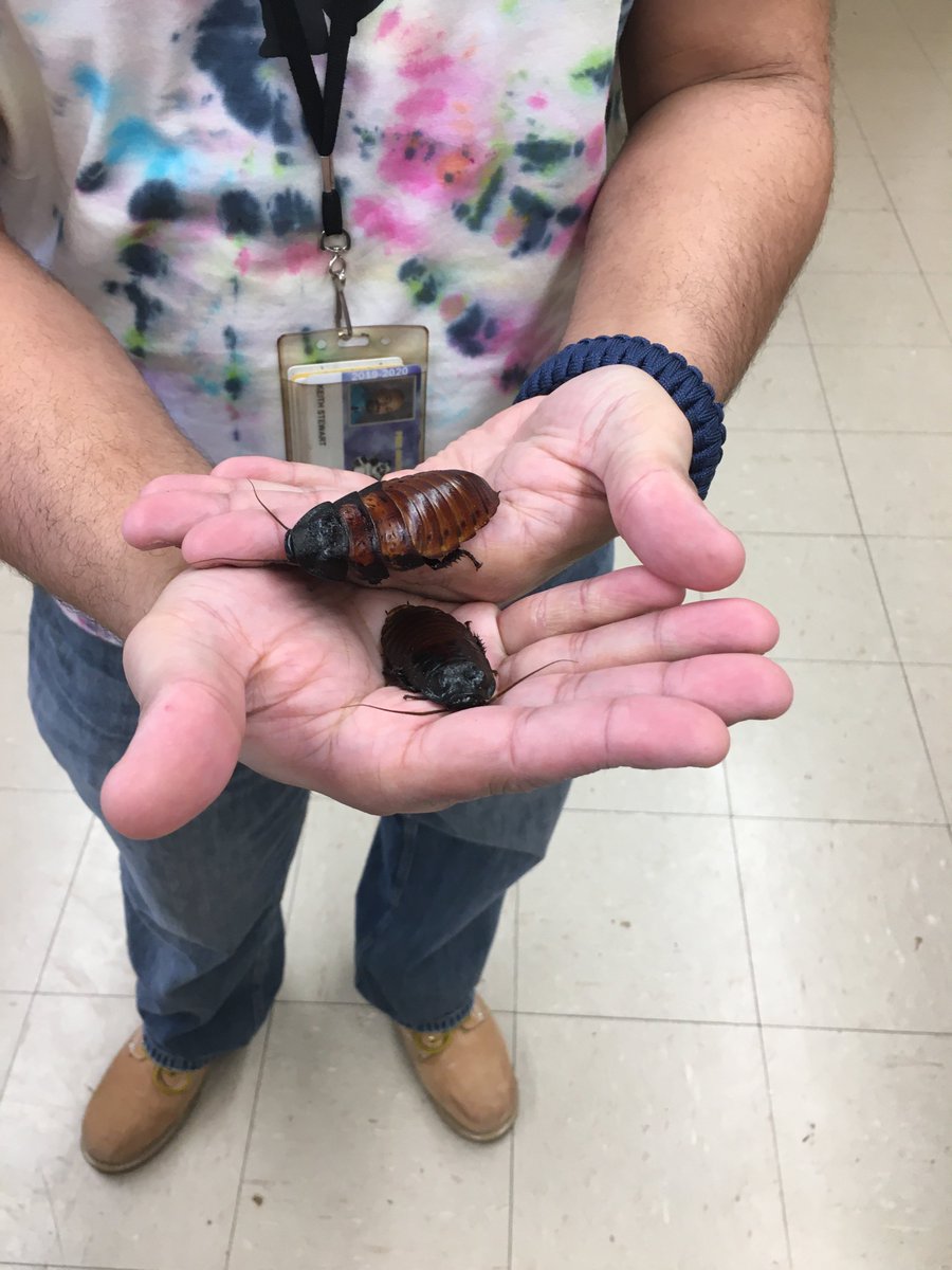 Mr. Siegal tweet media