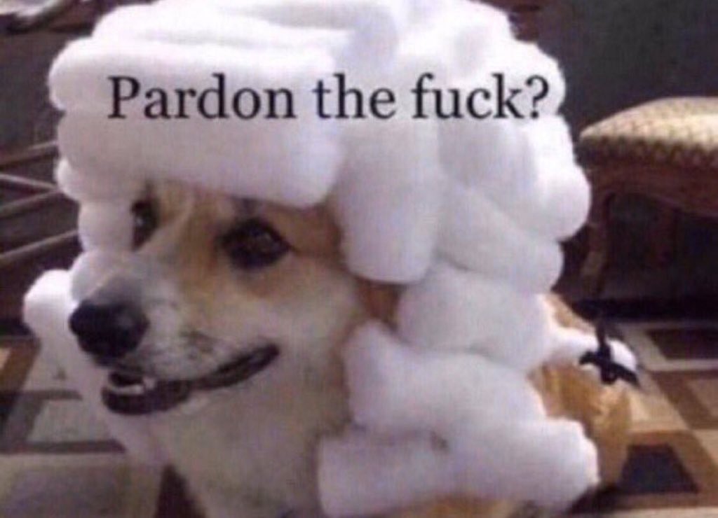 Dog in a wig with the caption "pardon the fuck?"