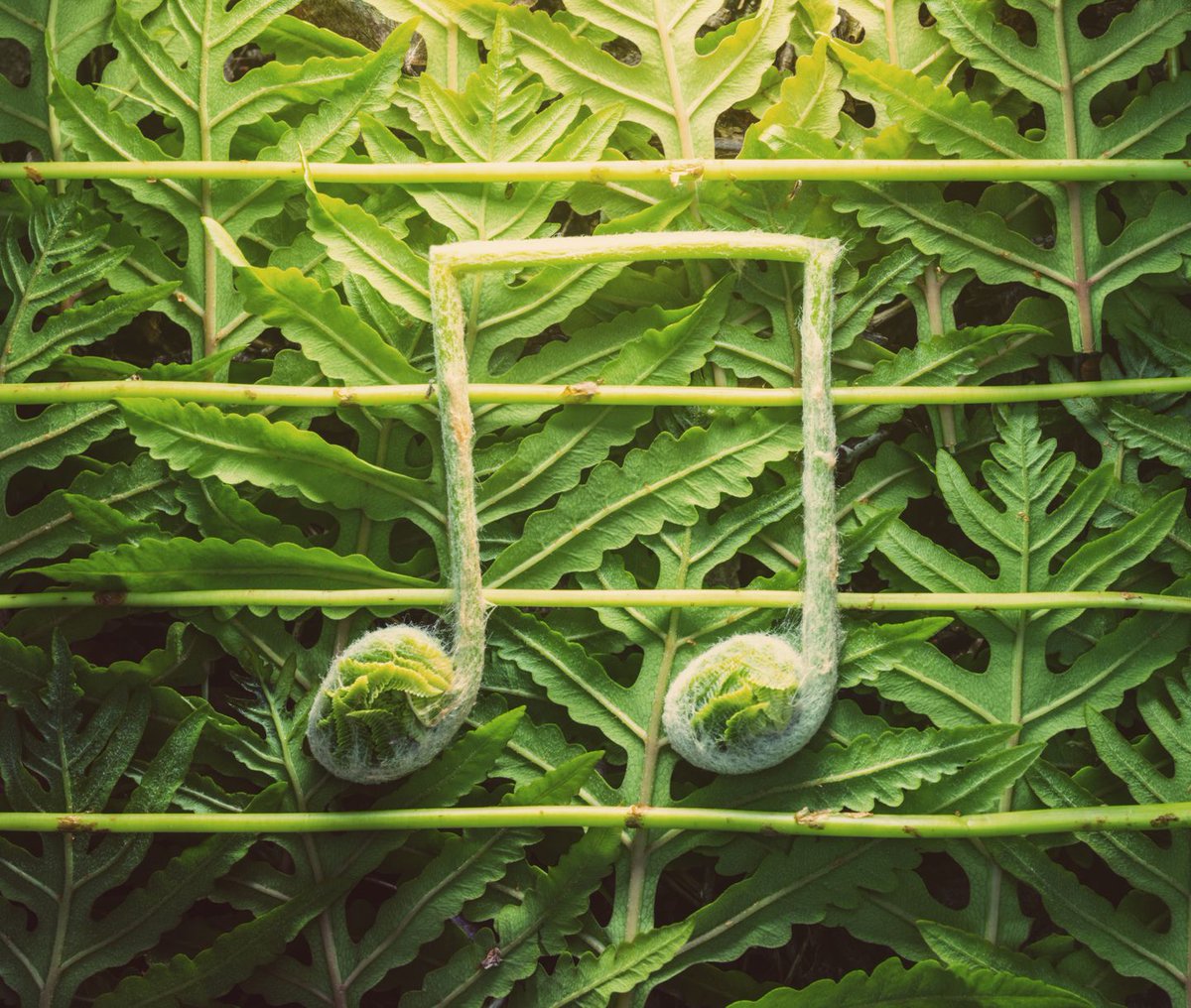 PSUresearch's tweet photo. Are the good outdoors also good for reducing anxiety caused by noise pollution? 🌳 

#PennState research featured in @washingtonpost found that natural soundscapes can improve listeners’ moods after just a brief period of exposure. https://t.co/LIDRaLEk2p https://t.co/zaNQy1w4US