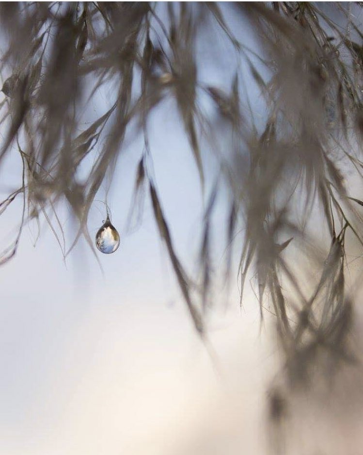 Parce qu’il suffit parfois d’une petite goutte pour faire la différence ! Merci à @boramphotographie pour cette belle et douce photo 💧😍 - - - - - - Sélection du jour by @melle_dreams