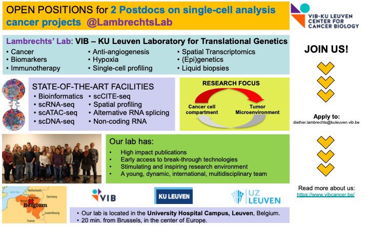 ingrid_arijs's tweet photo. Join ⁦@LambrechtsDlab⁩ https://t.co/DtYHkLKkVj