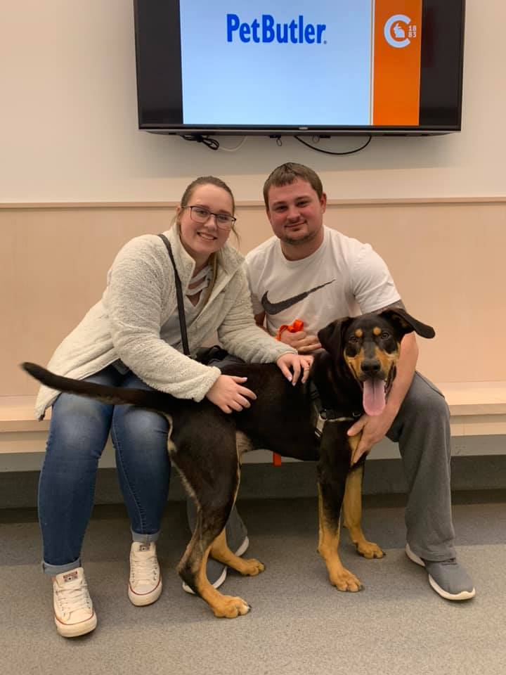Congratulations to the 51 animals who found great homes last week through Columbus Humane and Eat Purr Love Cat Cafe! Pictured here is Captain who could not be happier to go home to his new big backyard and loving family.