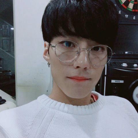 fuck it imfact as cats: a thread #imfact  #jeup  #jian  #leesang  #ungjae  #taeho  @IMFACTofficial  @imfact_twt