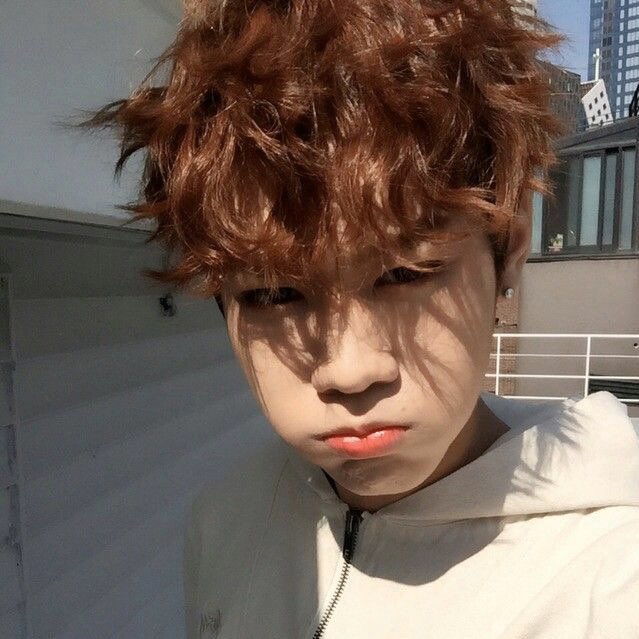 fuck it imfact as cats: a thread #imfact  #jeup  #jian  #leesang  #ungjae  #taeho  @IMFACTofficial  @imfact_twt