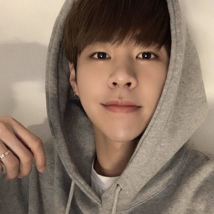 fuck it imfact as cats: a thread #imfact  #jeup  #jian  #leesang  #ungjae  #taeho  @IMFACTofficial  @imfact_twt