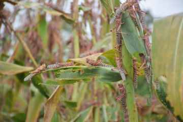 View image on Twitter