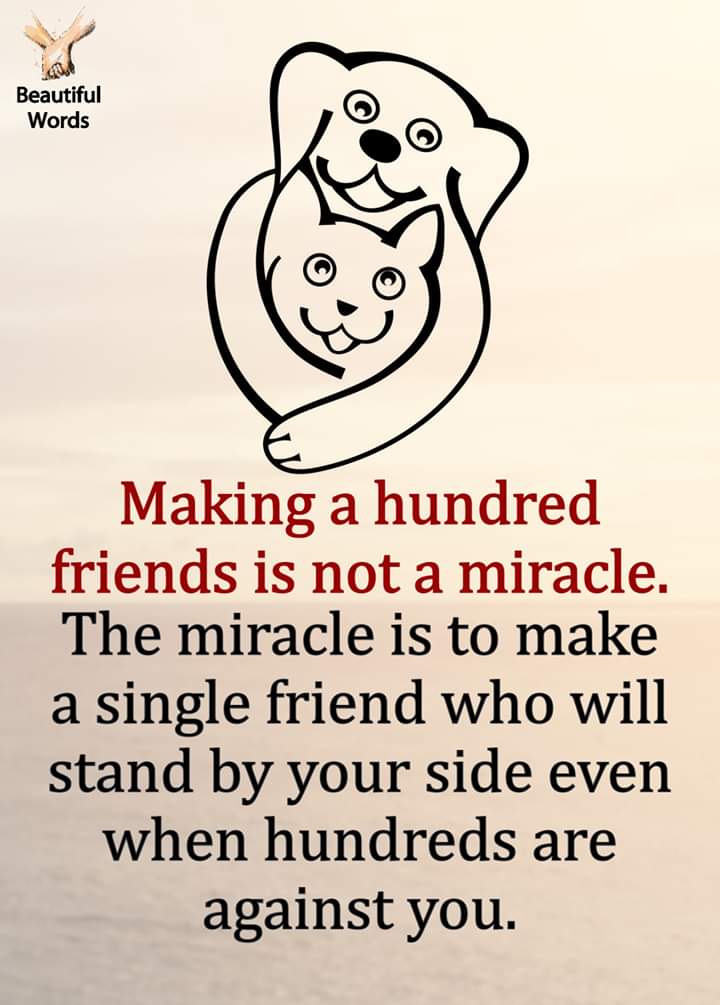 awsalool tweet picture