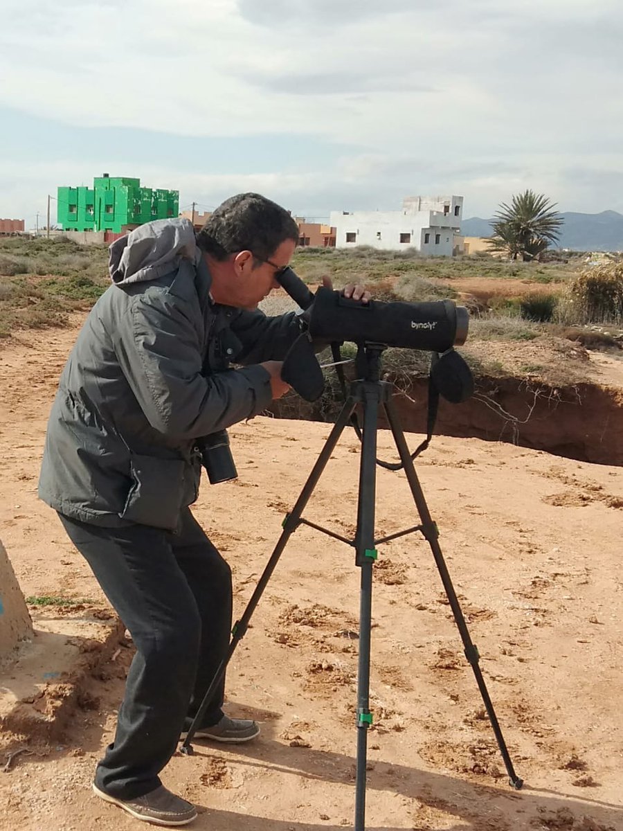 GREPOMBirdlife's tweet photo. International Waterbirds Census 2020, our regional unit had led the census in the wetlands. @RamsarConv  @MedWetOrg  #recensement #DIOE #DIOE2020 #IWC #IWC2020  @BirdLife_News https://t.co/PnQameGiRg