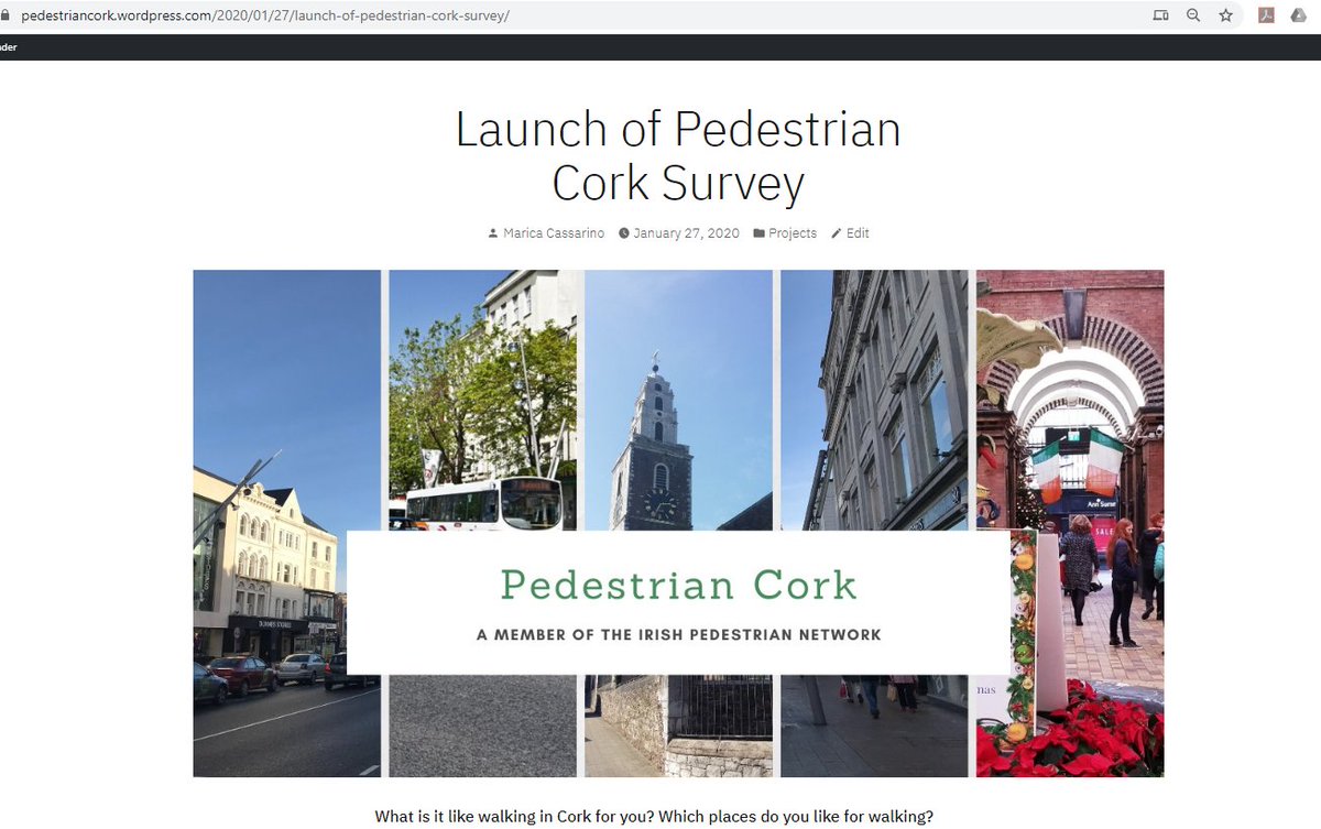 https://pedestriancork.wordpress.com/2020/01/27/launch-of-pedestrian-cork-survey/