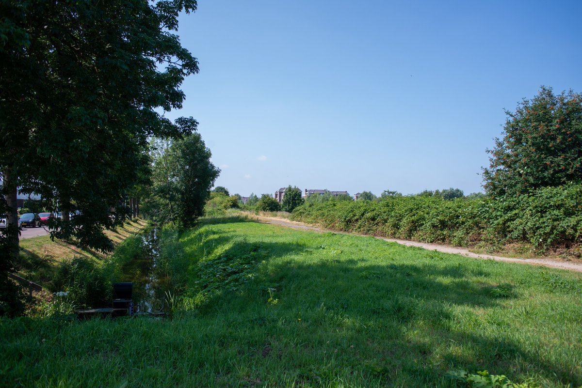 Volgende week maandag interviewen we de #ecoloog van de #Uithoornlijn. Wat zou jij willen weten over de flora en fauna rondom het project? #dtv