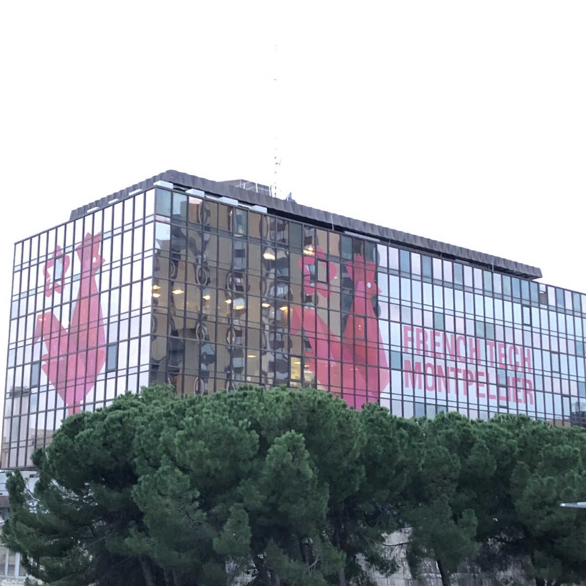 Medappcare tweet media