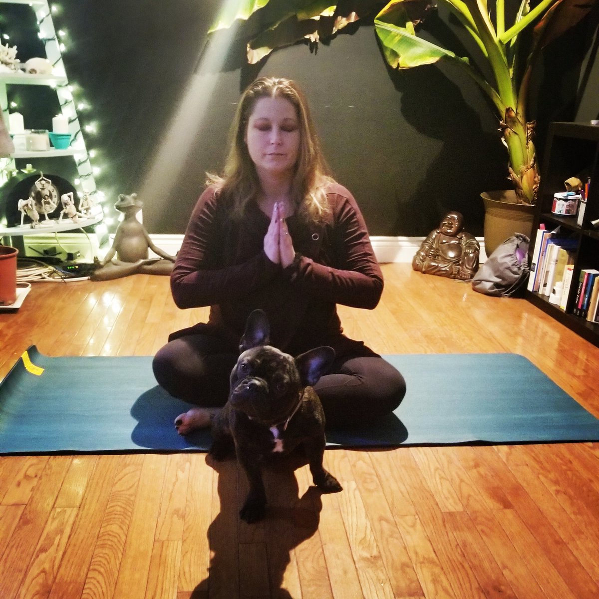 AmberTodd1921's tweet photo. Breathe in through your nose and out through your nose or mouth. Breathe into your abdomen. Feel your tummy rise as you inhale and fall as you exhale. Focus on and observe your breathing. 

#meditationmonday #meditate #yoga #breathe #hamont  #hamiltonwellness #hamiltonyogi https://t.co/0QkvdoF373