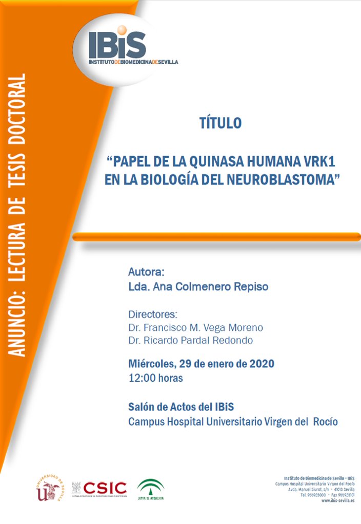 ibis_sevilla's tweet photo. TESIS DOCTORAL 29/01, 12:00 Salón de Actos.
👩‍🔬“PAPEL DE LA QUINASA HUMANA #VRK1 EN LA BIOLOGÍA DEL #NEUROBLASTOMA".
👩‍🎓Autora: Lda. Ana Colmenero Repiso.
📚Directores: Dr. Francisco M. Vega Moreno @fmvegam &amp; Dr. Ricardo Pardal Redondo https://t.co/gBAjKsKFBH