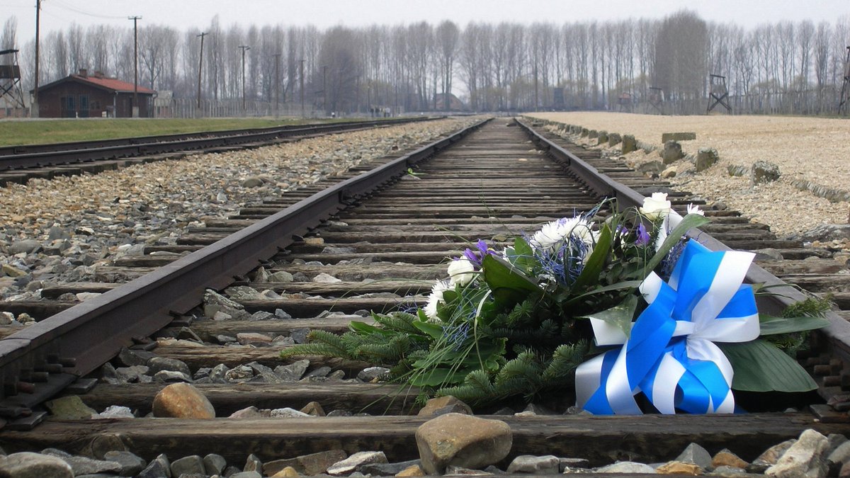 Carla Zambelli On Twitter O Holocausto Foi O Assassinato Em Massa De Entre 5 E 6 Milhoes De Judeus Pelo Partido Nacional Socialista Dos Trabalhadores Alemaes Eslavos Ciganos Homossexuais Testemunhas De Jeova E