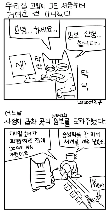 우리집 고양이 그도 처음부터 귀여운 건 아니었다. 