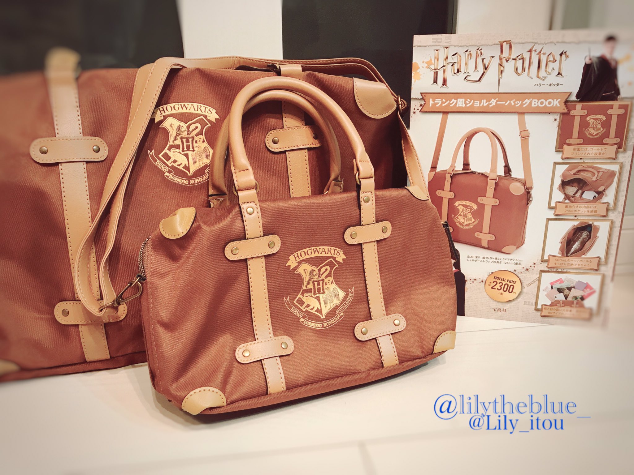 ハリーポッター 公式 Harry Potter (ハリーポッター) トランク風