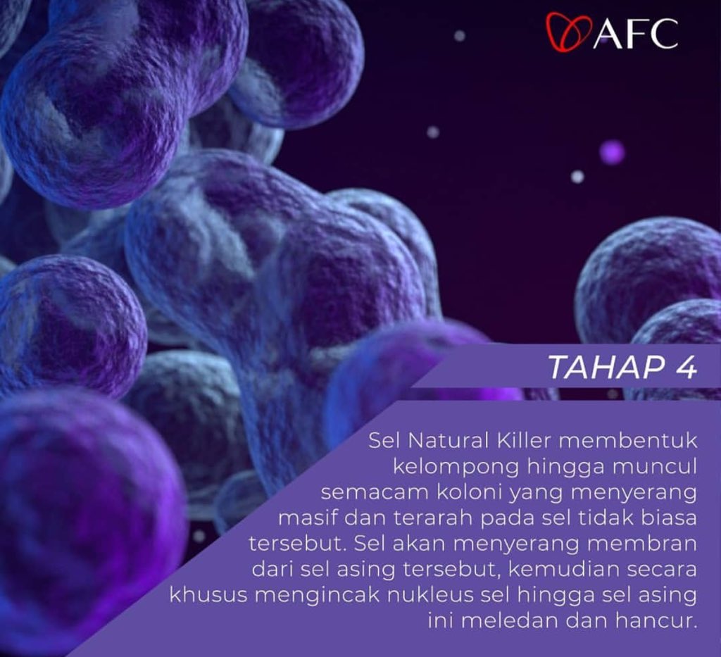 LifeScienceAfc's tweet photo. Bagaimana #NKsel Bekerja pada tubuh manusia #Utsukushhii dan #SOP100 mampu menjaga sistem kekebalan tubuh kita https://t.co/10w8lQw8YY