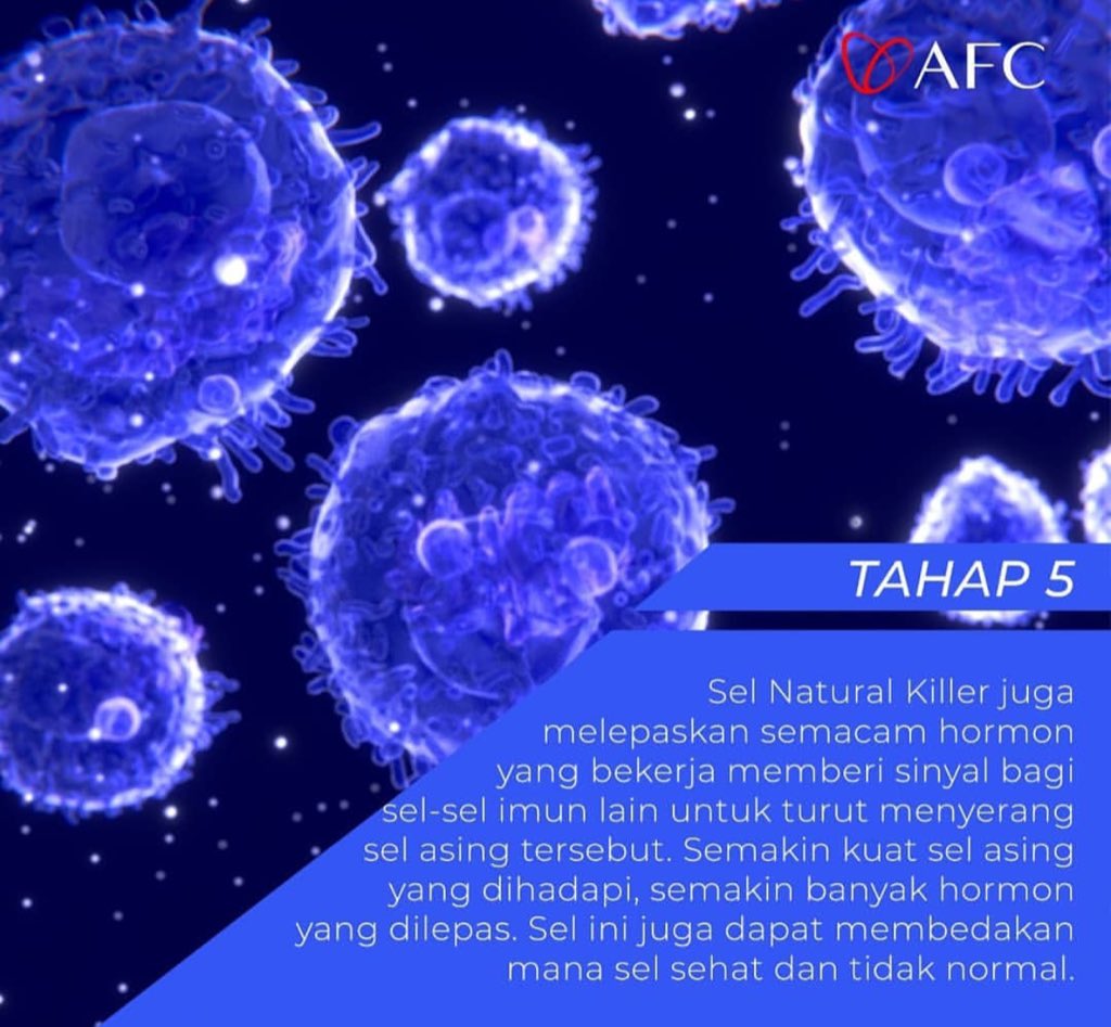LifeScienceAfc's tweet photo. Bagaimana #NKsel Bekerja pada tubuh manusia #Utsukushhii dan #SOP100 mampu menjaga sistem kekebalan tubuh kita https://t.co/10w8lQw8YY