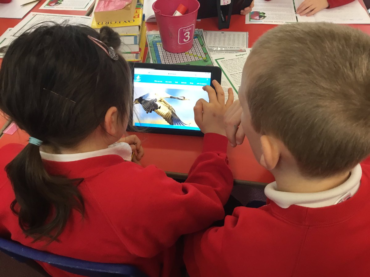 TJPrimary's tweet photo. ๐ฆYear 4 are busy this morning researching wild life to create information fact-files. Did you know that flamingo chicks are born with grey and white feathers? #TJTheme #TJEnglish https://t.co/BfdHXMFQWJ