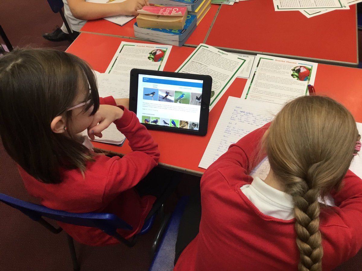 TJPrimary's tweet photo. ๐ฆYear 4 are busy this morning researching wild life to create information fact-files. Did you know that flamingo chicks are born with grey and white feathers? #TJTheme #TJEnglish https://t.co/BfdHXMFQWJ