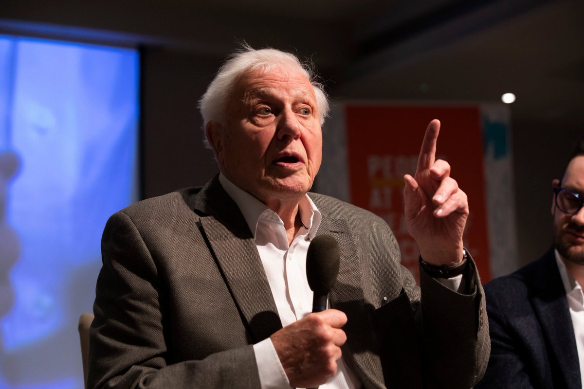 "Sir #DavidAttenborough warns #climate action hindered by short government terms"
standard.co.uk/news/politics/…