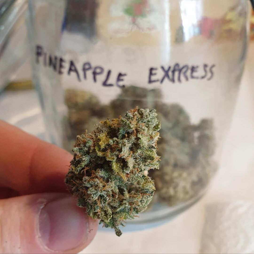 Tutustu 56+ imagen pineapple express barneys farm abzlocal fi
