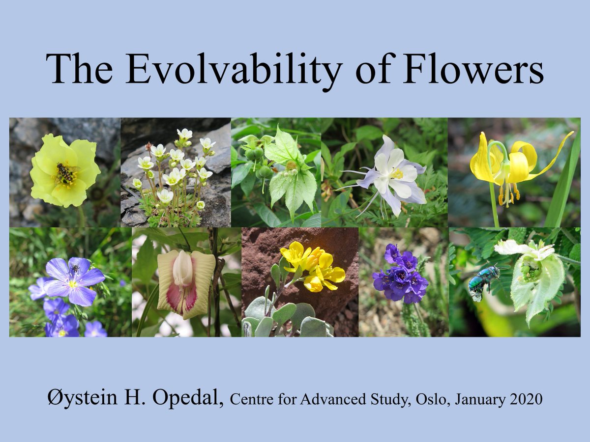 oysteinopedal's tweet image. On the train to Oslo, preparing my seminar for @EvolvabilityCAS tomorrow.