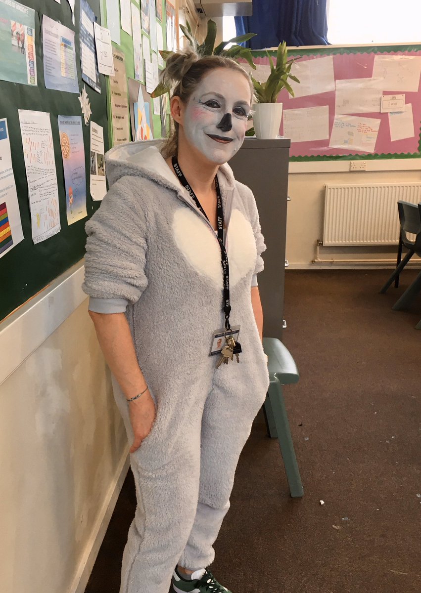 CourtfieldsM's tweet photo. Miss Stephenson dressed as a koala for #AustraliaDay - π€£#courtfields are raising money today for #bushfires relief. https://t.co/0NupRXgEfv