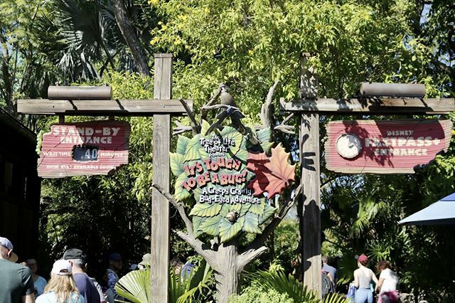 disneypass_'s tweet photo. El teatro del árbol de la vida presenta #ItsToughToBeaBug una aventura increíble, una película en 3D de 9 minutos de duración basada en la película de Disney · Pixar de 1998, A Bug's Life, que utiliza iluminación de teatro, técnicas de filmación en 3D, a… https://t.co/euQuxizd3B https://t.co/N7qRjj0NmF