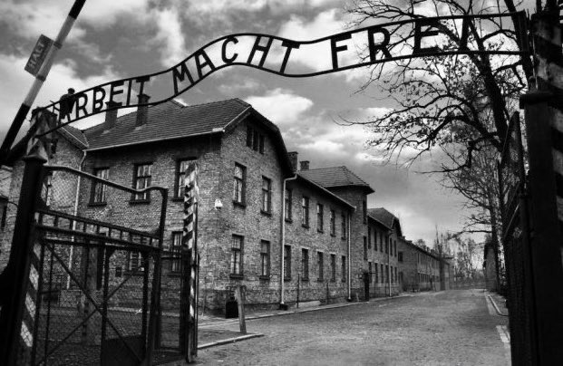 pisto_gol's tweet photo. È avvenuto. Quindi può accadere di nuovo 
(Primo Levi) #GiornatadellaMemoria2020 https://t.co/eSt1SM1aLU