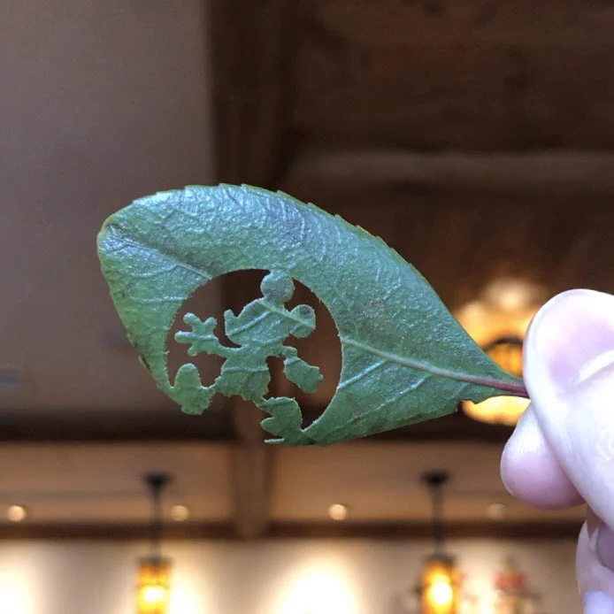 素敵な贈り物…！ディズニーでキャストにもらったプレゼントとは？