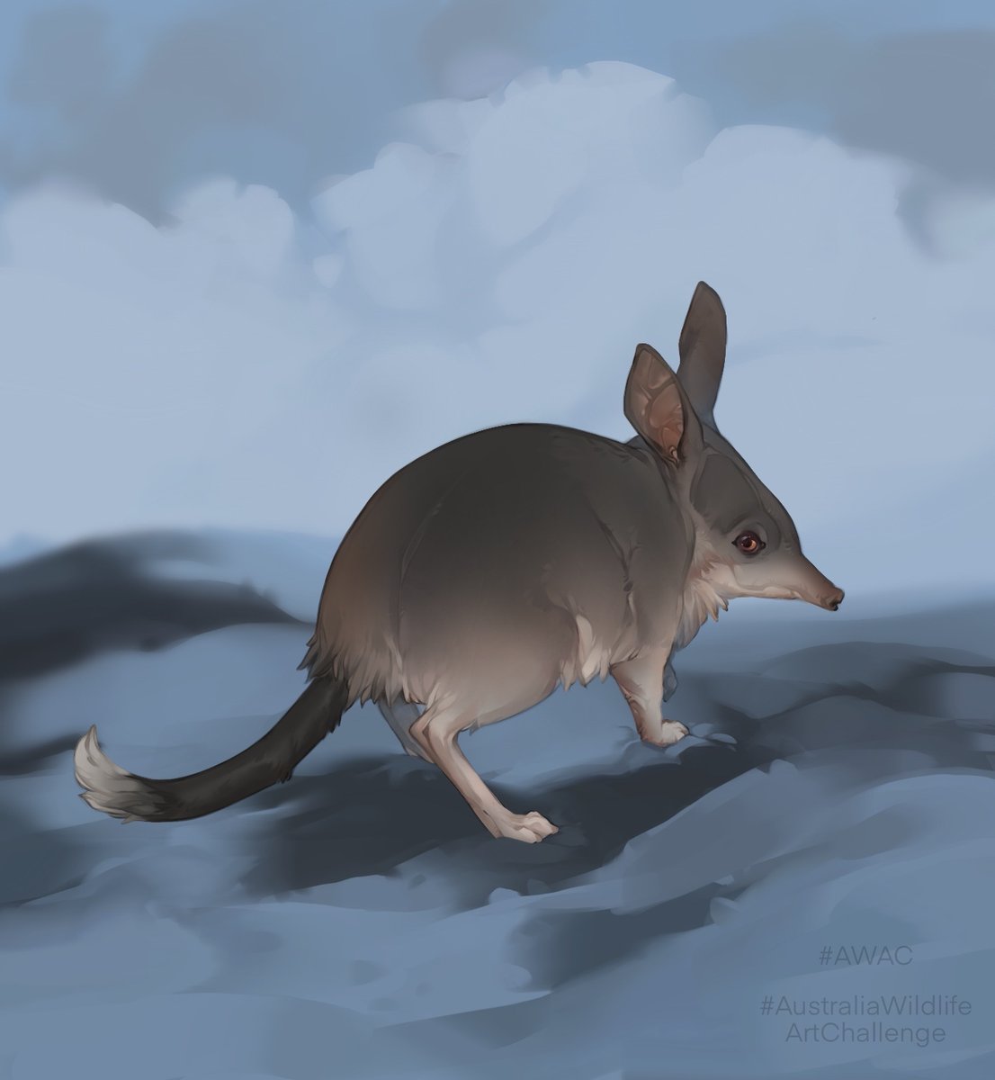 Kridademorti's tweet photo. #bushfires #SaveAustraila #PrayForAustralia  #AWAC #AustraliaWildlifeArtChallenge #Procreate #GreaterBilby https://t.co/Kn1UFZci5e