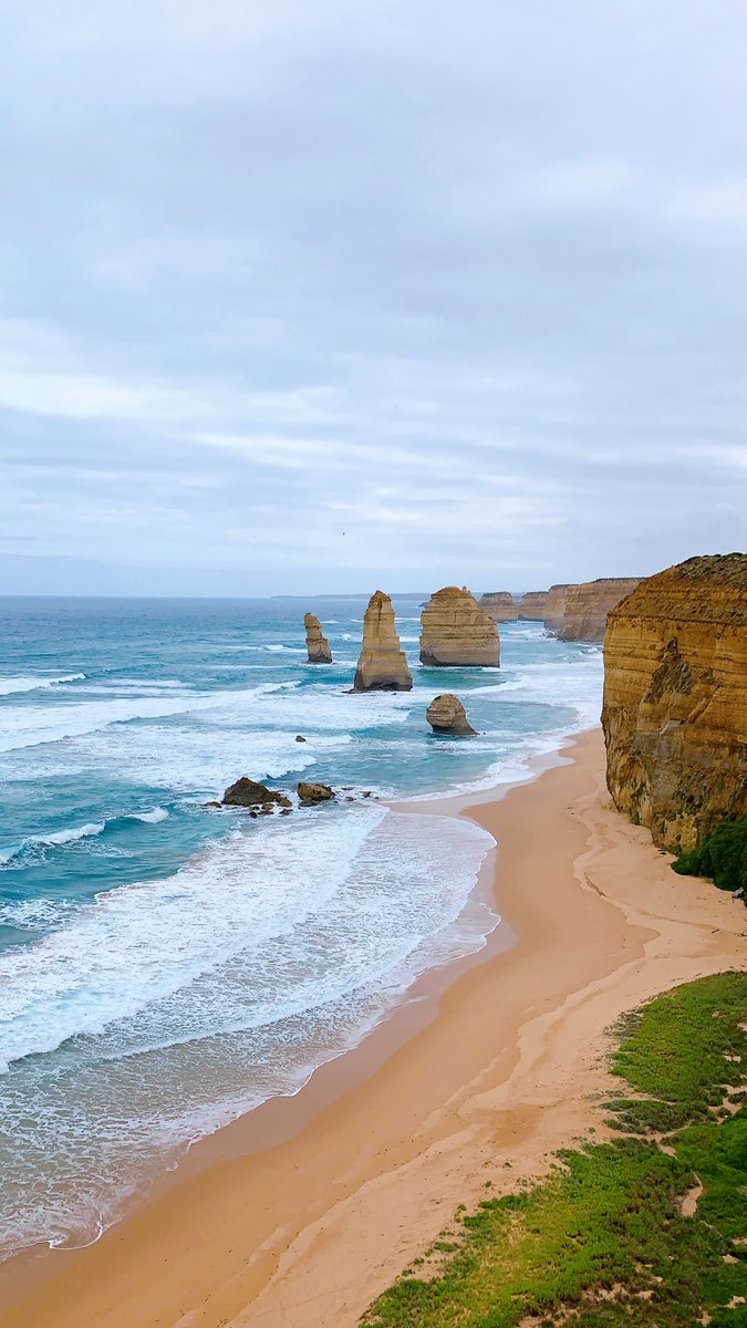 Rebecca Goetz tweet media