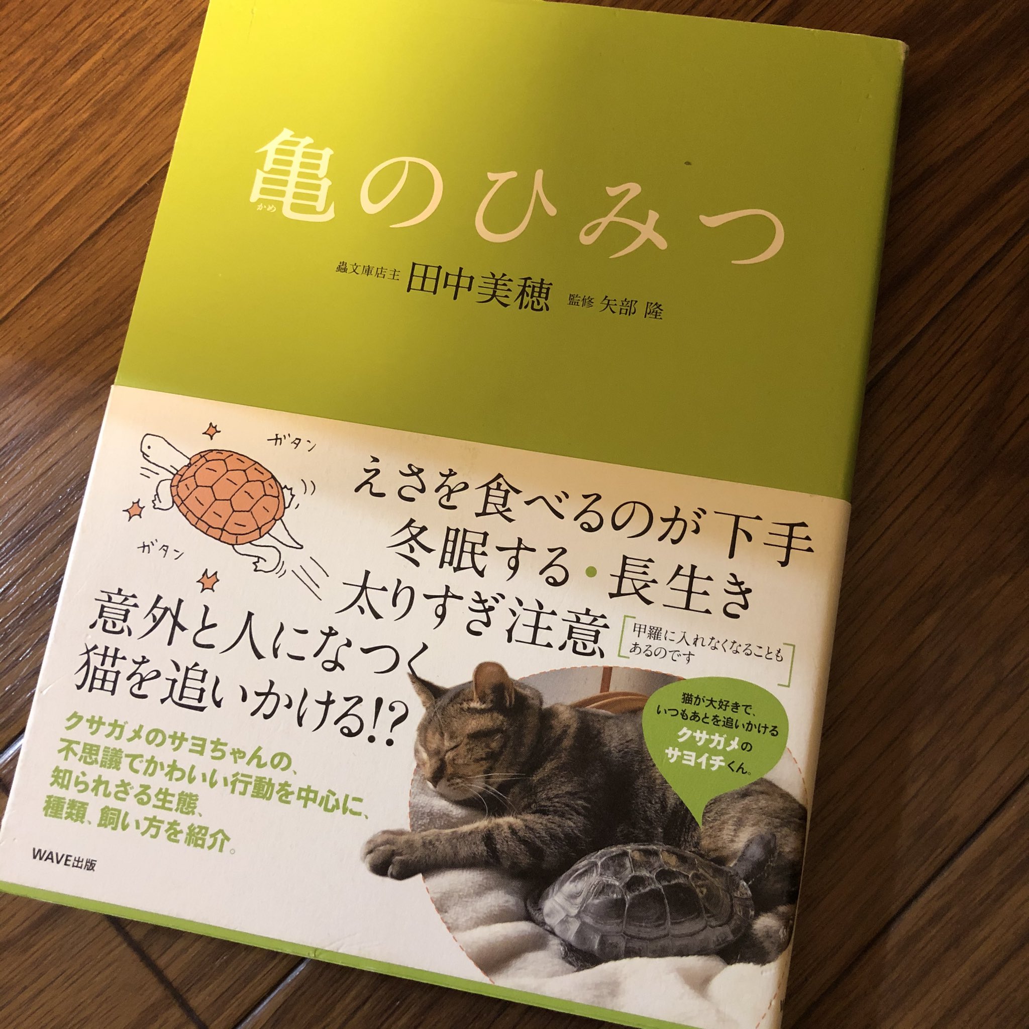 カメまる子 これ以外のカメ本でオススメのカメ本あったら是非教えてほしいです ﾁﾗｯ T Co Mpfklclag8 Twitter