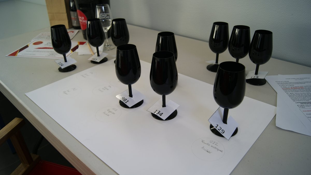 RDV lundi prochain au <a href="/SalonVinsLoire/">Salon Vins de Loire</a> à Angers avec une conférence lundi à 14h sur le projet "Terroir-Maturité-Typicité du Saumur-Champigny" et une dégustation d'analyse sensorielle le lundi et le mardi. Nombre de places limitées - inscriptions : forms.gle/EKajMb6s6K8ZFH…