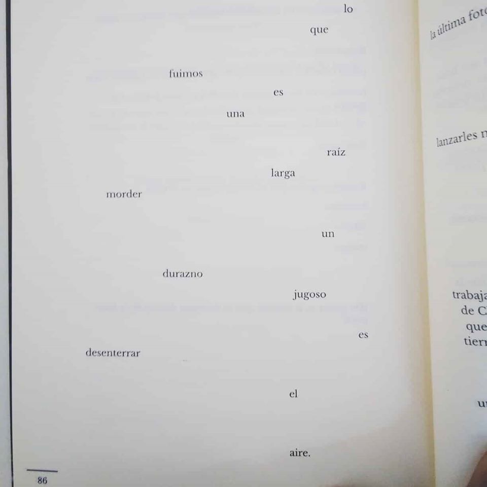 DaPolvora's tweet photo. Esta semana recomendamos:

-"Libro de Alicia" (Espiral Maior, 2008) de Olalla Cociña Lozano.

-"Ladakh" (Ediciones Liliputienses, 2019) de Francisco Alatorre Vieyra.

#recomendamospólvora https://t.co/MKi5lq68Ez