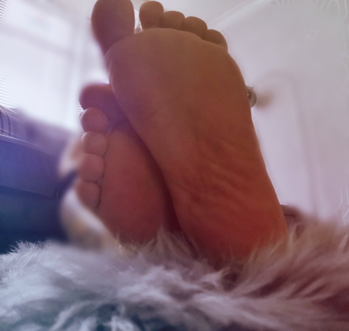 sineadgoddess_x's tweet photo. Lick the soles of my feet piggy😛👣🐽
#findl #FindomBrat #findomfeet #lickmyfeet #lickthem #footfetish #feet #fetish #GoddessAboveAll #mistress #piggybank #piggypay https://t.co/WwtVAbCBcT